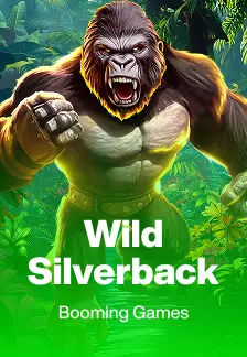 Wild Silverback